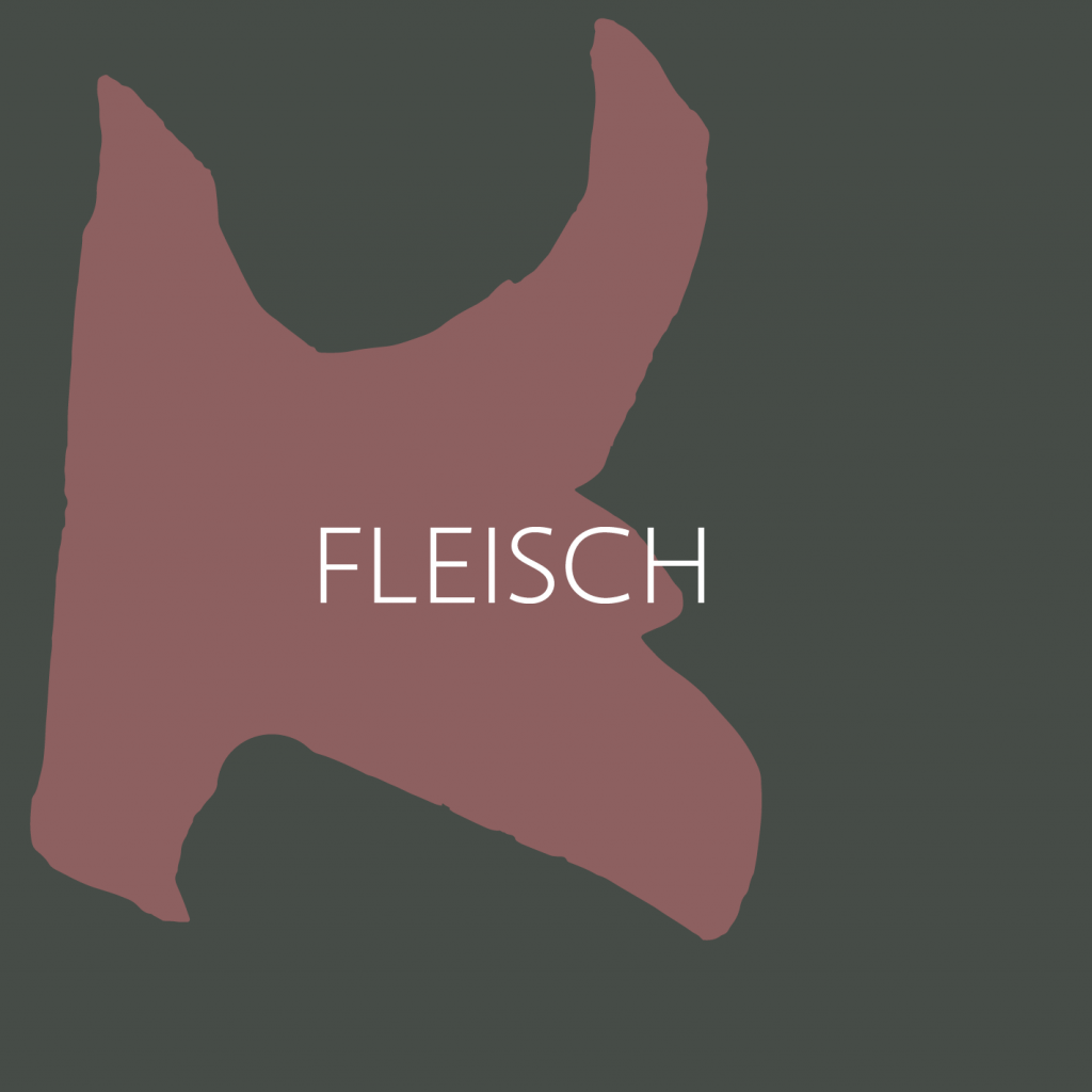 Fleisch
